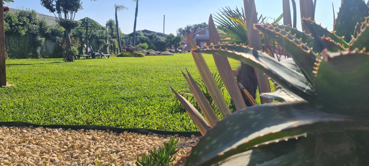 הוילה Póvoa de Varzim Hollidays Dreams מראה חיצוני תמונה