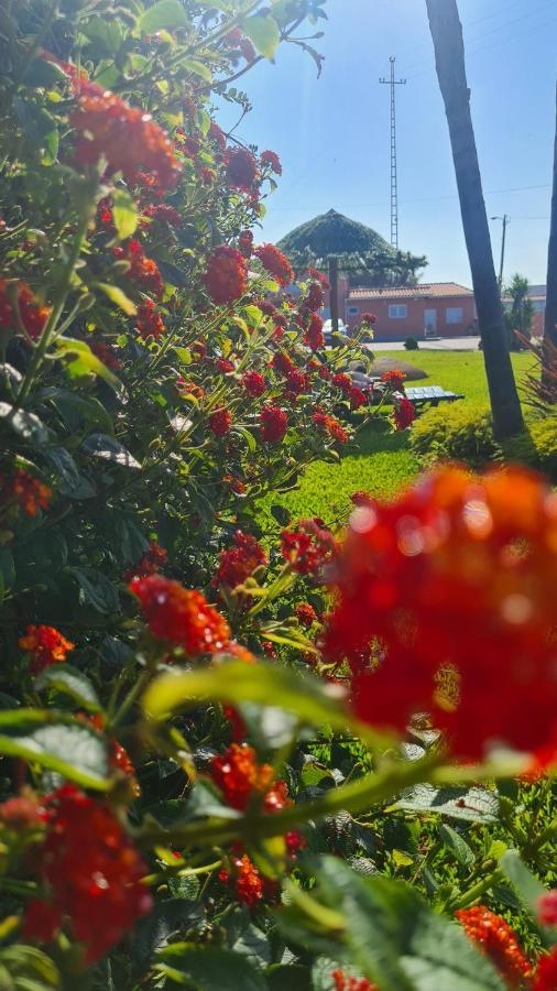 הוילה Póvoa de Varzim Hollidays Dreams מראה חיצוני תמונה